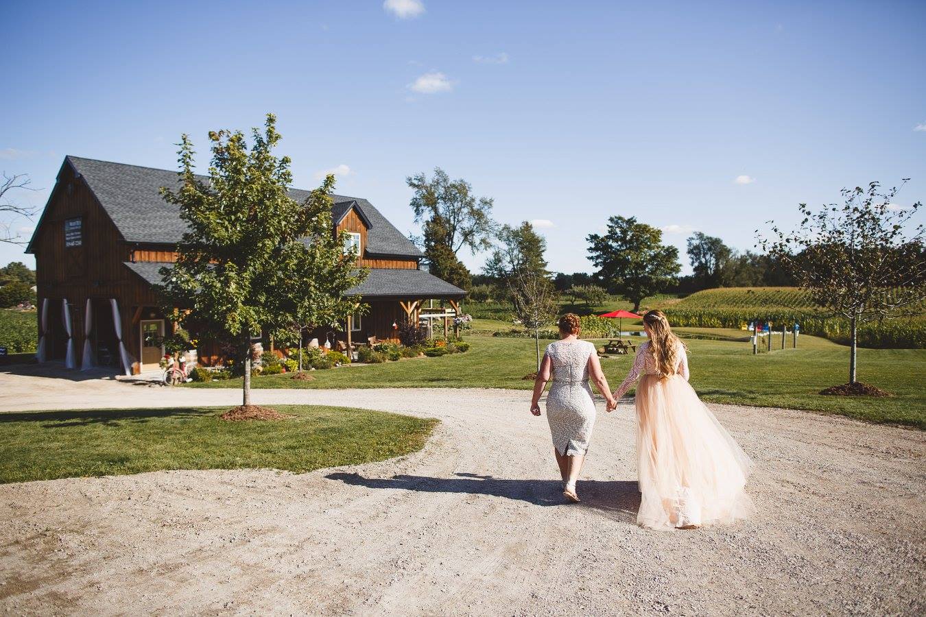 25188964_389607234795041_59321749587010151_o