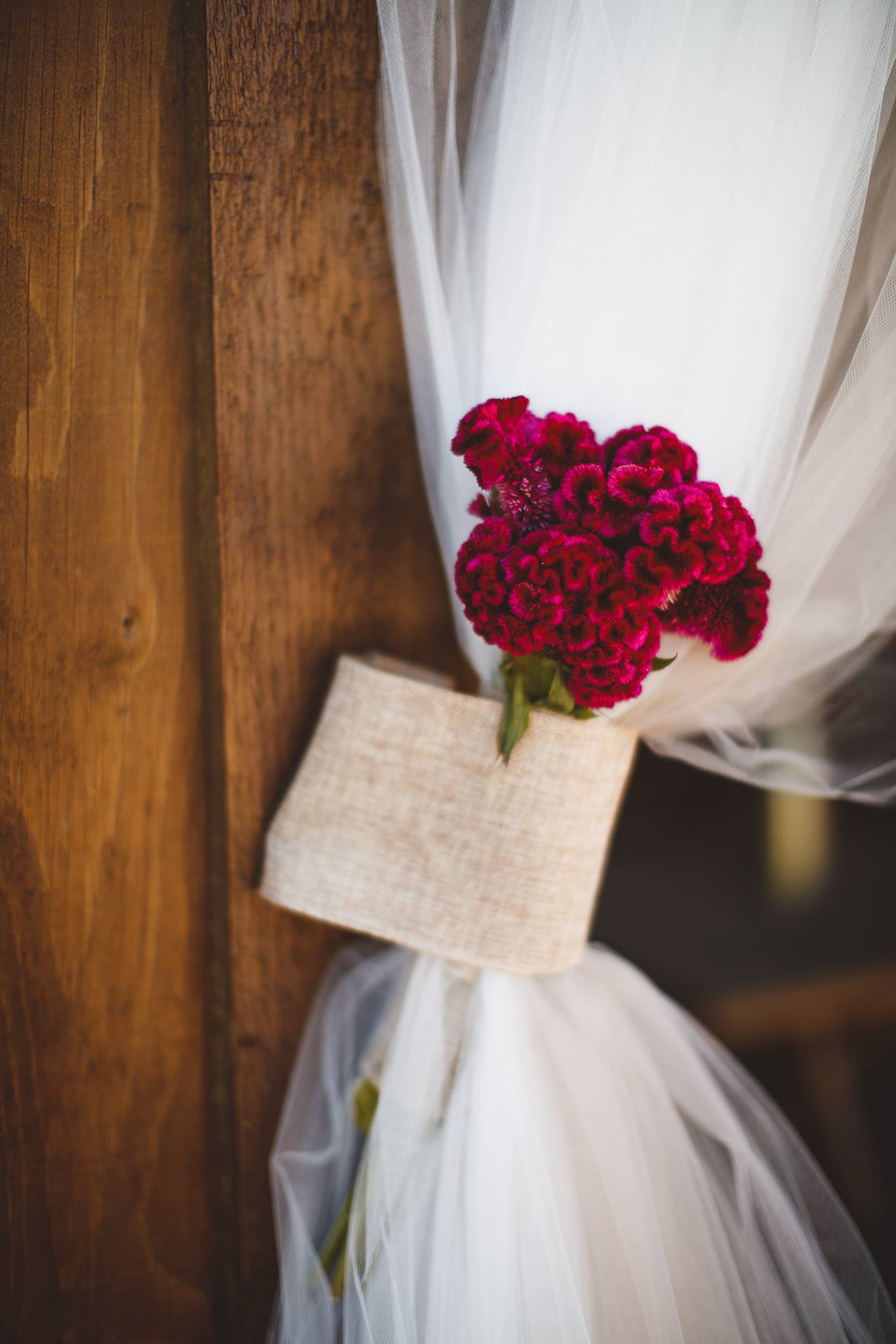 25299830_389846984771066_9219855872821730450_o