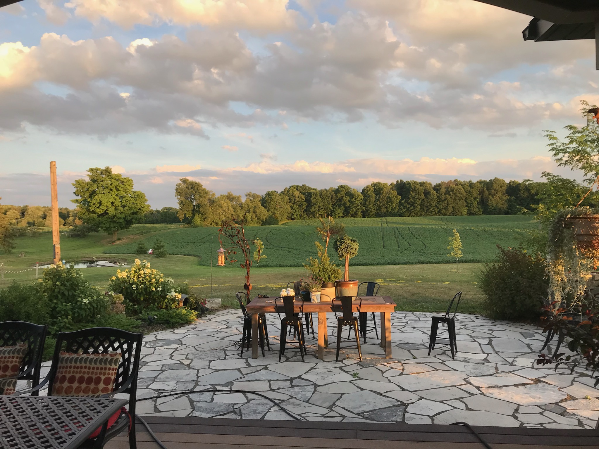 -1552654576467526853