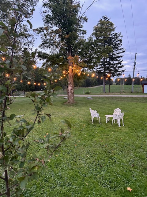 -2545323773931166946