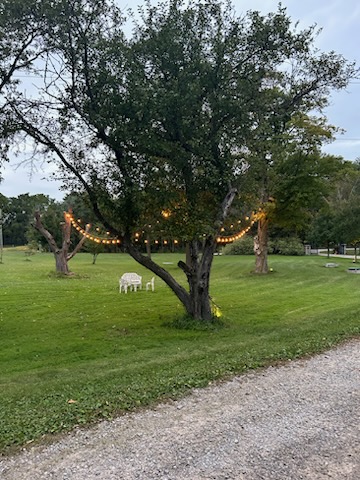 -5788496939436595957