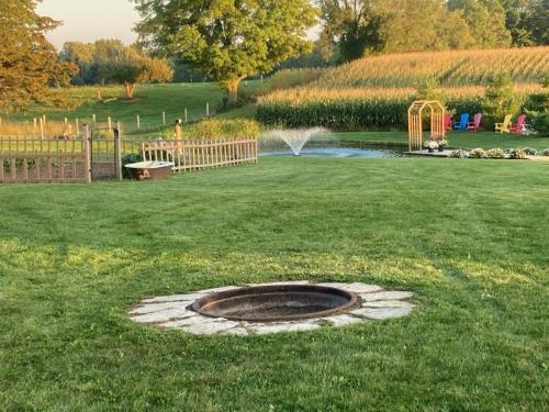 -1378841592125563930